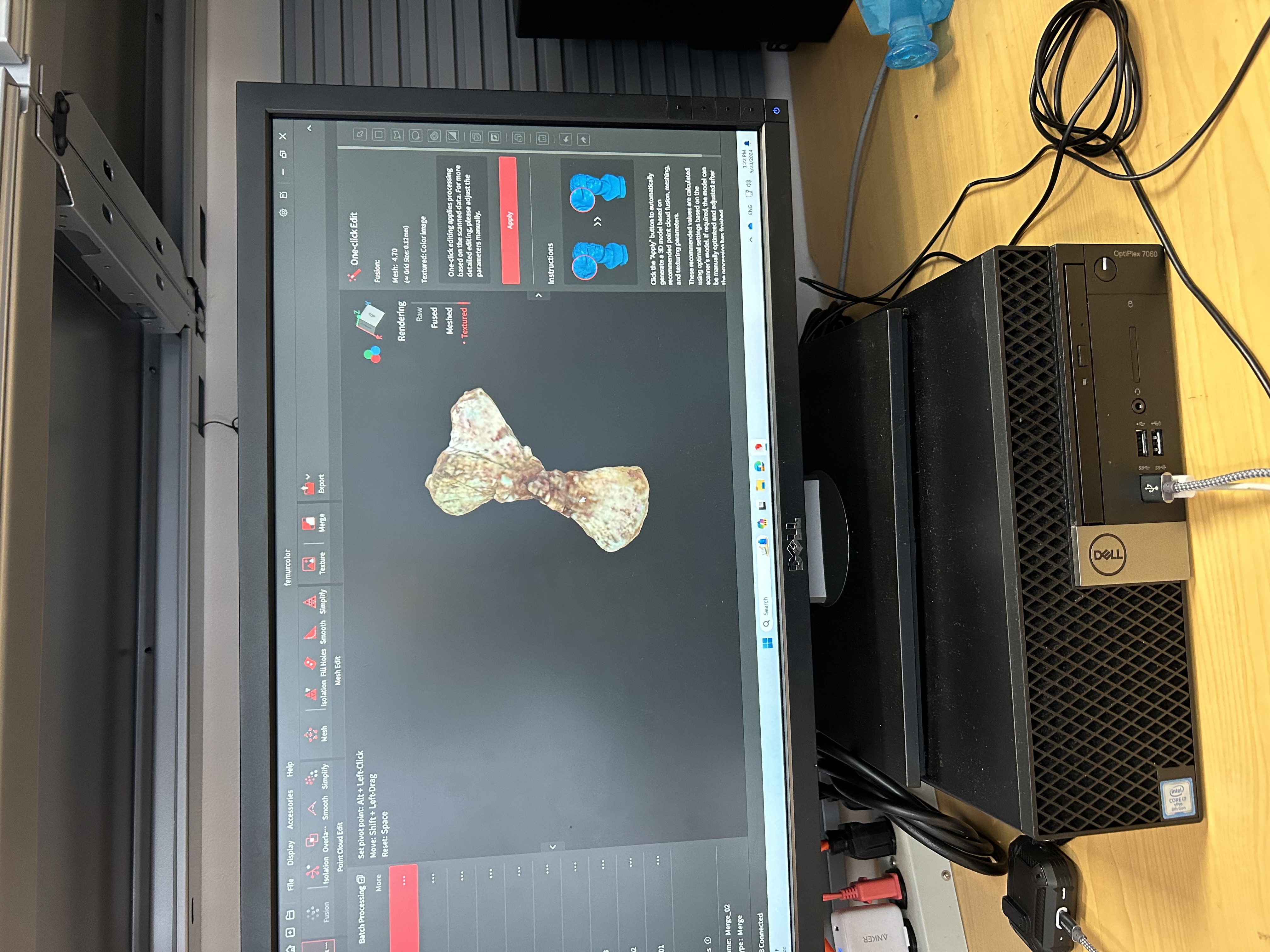 A 3d scan of a fossil on the computer screen